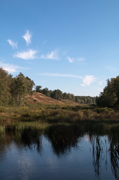 Vertikale Aufnahme von Wasser umgeben von einem Wald unter einem blauen Himmel