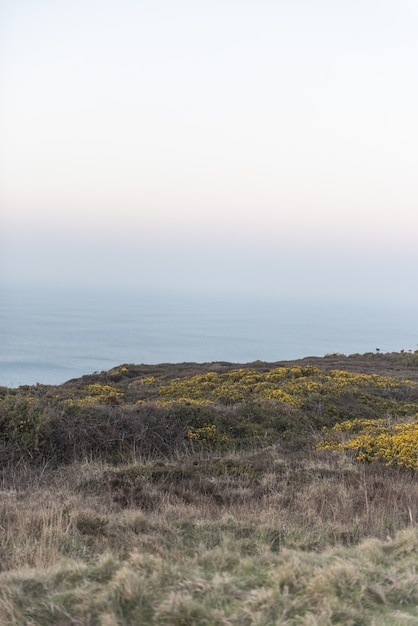 Vertikale der schönen naturistischen Landschaft am Ozeanufer während der Abendzeit