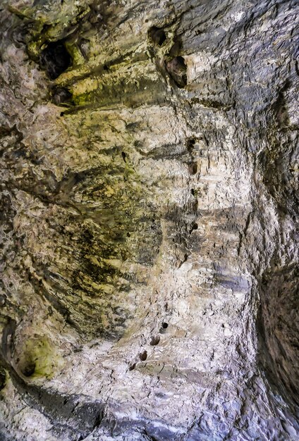 Vertikale Flachwinkelaufnahme der schönen Steinmauern, die mit Moos in einer natürlichen Höhle bedeckt sind