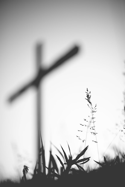 Kostenloses Foto vertikale graustufenaufnahme eines grasfeldes mit einem unscharfen kreuz