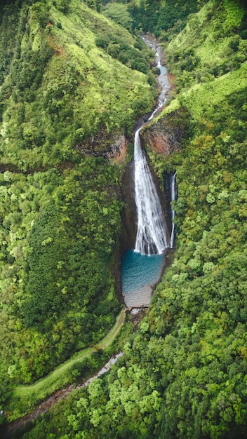 Vertikale Hochwinkelaufnahme des Wasserfalls unter dem Wald, der in Kauai, Hawaii gefangen genommen wird