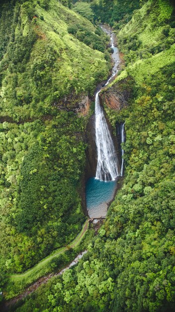 Vertikale Hochwinkelaufnahme des Wasserfalls unter dem Wald, der in Kauai, Hawaii gefangen genommen wird