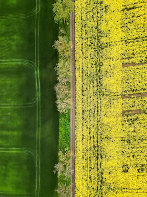 Kostenloses Foto vertikale luftaufnahme der natur in moldawien. gelbes und grünes saatfeld