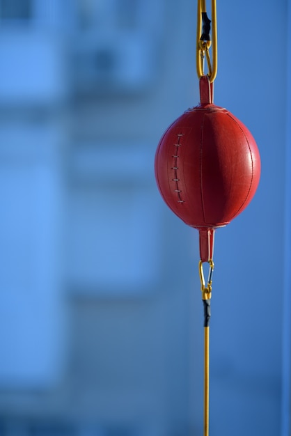 Vertikale Nahaufnahme eines roten Speedballs unter dem Sonnenlicht mit einem verschwommenen Hintergrund