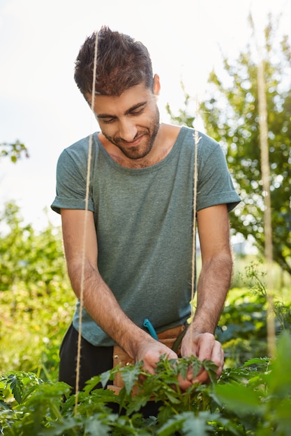 Vertikale Nahaufnahme im Freien Porträt des fröhlichen gut aussehenden kaukasischen männlichen Gärtners, der im Garten arbeitet, Gemüse bindet, über Pflanzen wacht.