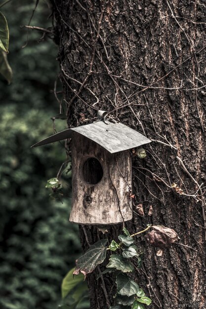 Vertikale selektive Fokusaufnahme eines hölzernen Vogelhauses auf einem Baumstamm