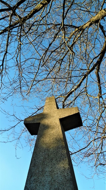 Kostenloses Foto vertikaler flachwinkelschuss von stein machte kreuzstatue mit zweigen und klarem himmel