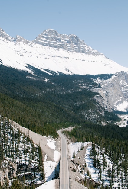 Vertikaler Hochwinkelschuss einer Autobahn im Wald nahe den Bergen am Banff-Nationalpark