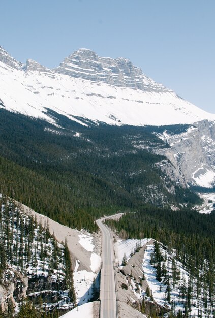 Vertikaler Hochwinkelschuss einer Autobahn im Wald nahe den Bergen am Banff-Nationalpark