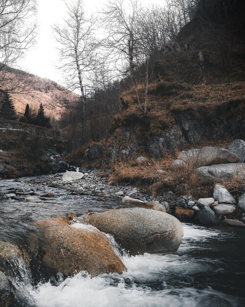 Vertikaler Hochwinkelschuss von Steinen im Fluss, der in den Bergen fließt