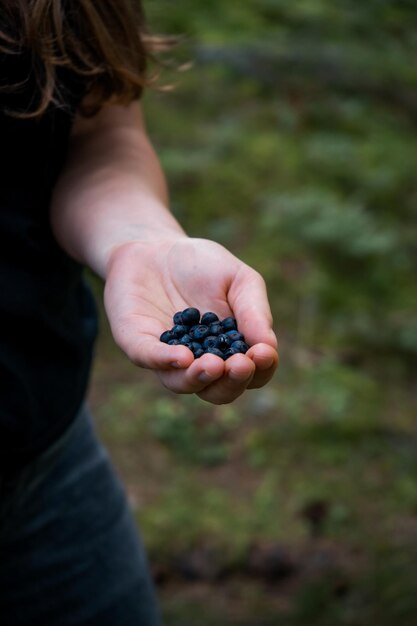 Vertikaler Schuss Blaubeeren in einer Hand