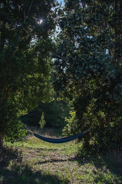 Vertikaler Schuss einer blauen Hängematte, die an Bäumen mitten in einem Wald befestigt wird