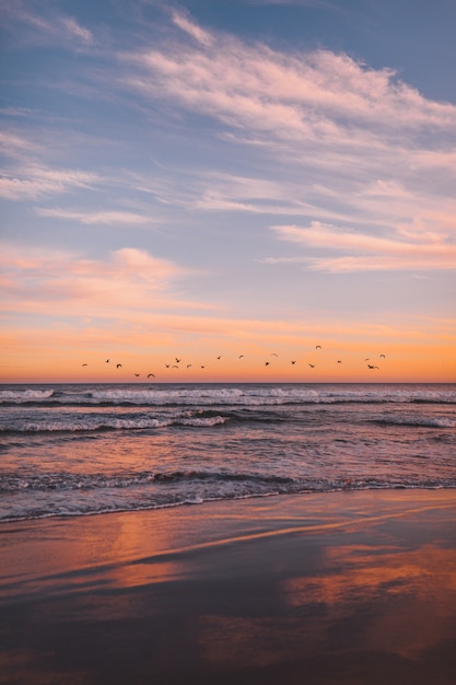 Vertikaler Schuss einer Herde von Seevögeln, die während des Sonnenuntergangs über das Meer fliegen