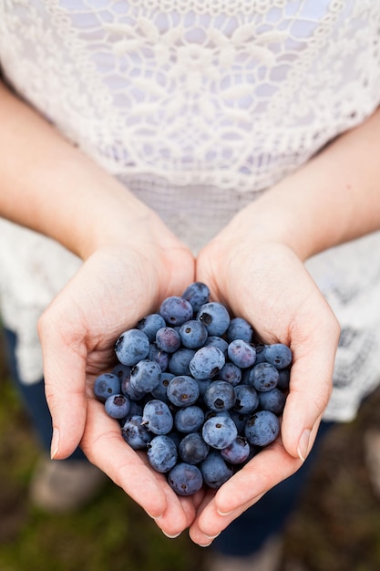 Vertikaler Schuss einer Person, die reife frische Blaubeeren in einem Park hält