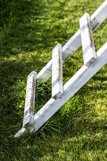 Vertikaler Schuss einer weißen Holzleiter auf dem Gras im Park