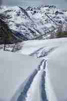 Kostenloses Foto vertikaler schuss eines bewaldeten berges, der im schnee in col de la lombarde - isola 2000 frankreich bedeckt wird