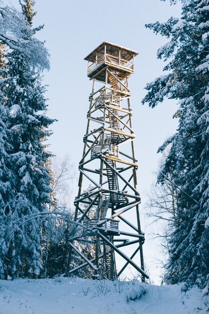 Vertikaler Schuss eines hölzernen Wachturms zwischen den schneebedeckten Bäumen