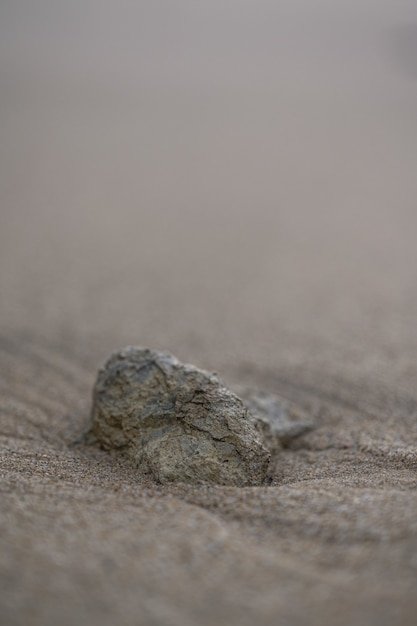 Vertikaler Schuss eines Steins auf einem Sandstrand