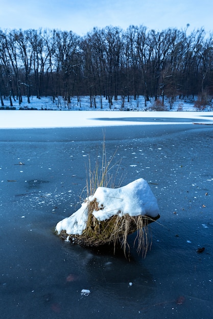 Vertikaler Schuss eines Stückes Holz bedeckt mit Schnee im gefrorenen See in Maksimir, Zagreb, Kroatien