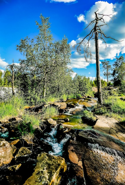 Vertikaler Schuss eines Wasserstroms, der in der Mitte der Felsen fließt, umgeben von Natur in Schweden