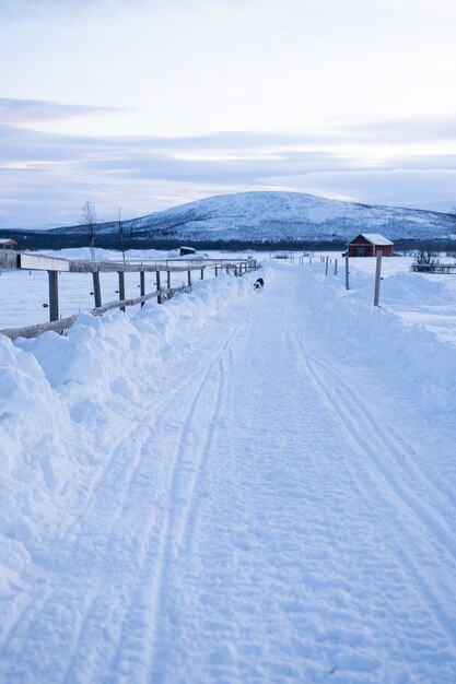 Vertikaler Schuss eines Weges mitten in schneebedeckten Feldern mit einem Hund in der Ferne in Schweden