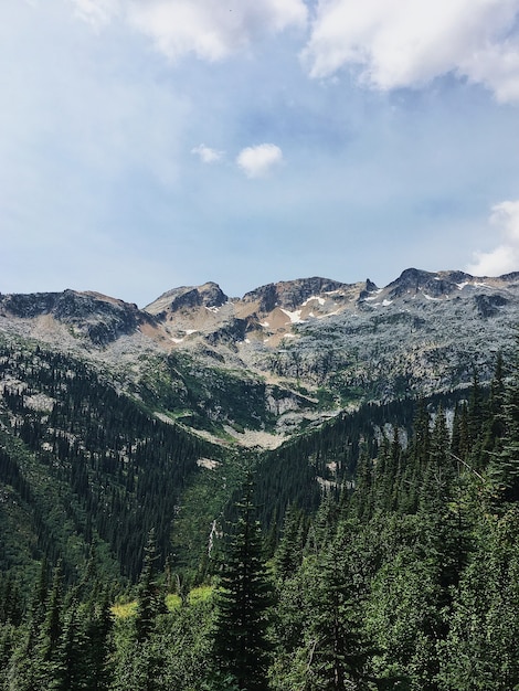 Kostenloses Foto vertikaler schuss grüner wald und ein hoher berg mit einem bewölkten himmel