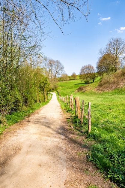 Kostenloses Foto vertikaler schuss schmaler weg in der landschaft, umgeben von grünem tal