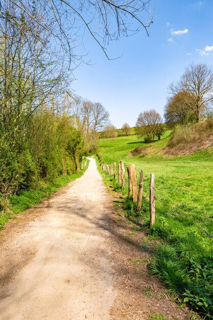 Vertikaler Schuss schmaler Weg in der Landschaft, umgeben von grünem Tal