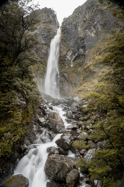 Kostenloses Foto vertikales bild des devils punchbowl wasserfalls, umgeben von grün in neuseeland