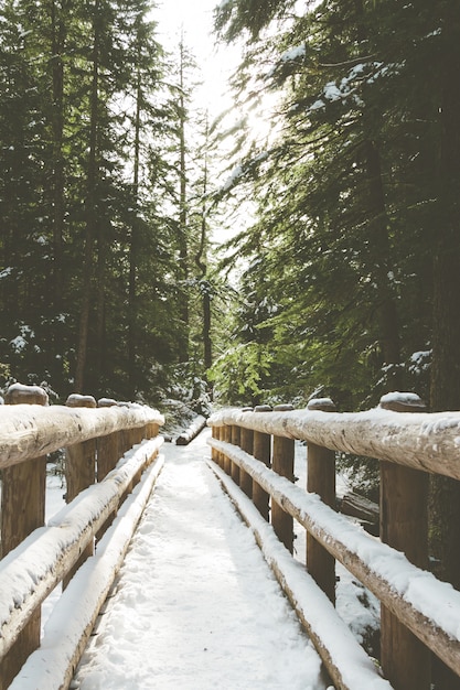 Kostenloses Foto vertikales bild einer holzbrücke bedeckt im schnee, umgeben von grün in einem wald