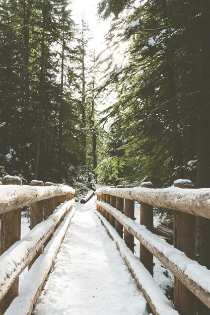 Vertikales Bild einer Holzbrücke bedeckt im Schnee, umgeben von Grün in einem Wald