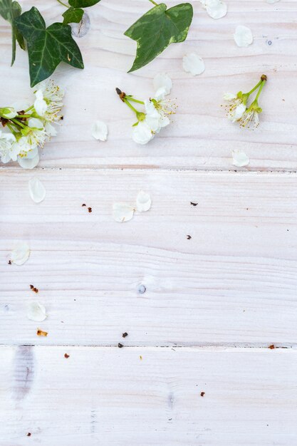 Vertikales Bild von weißen Frühlingsblumen und -blättern auf einem Holztisch, flache Lage