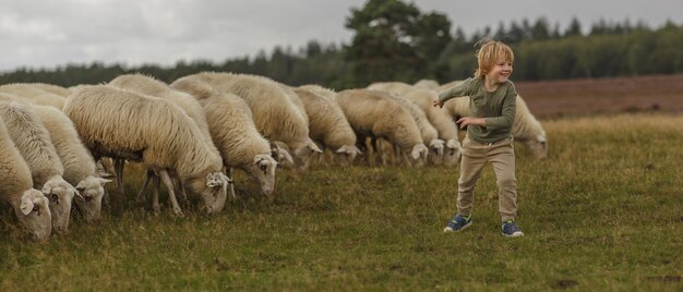 Verträumte Aufnahme eines entzückenden kaukasischen Jungen, der auf einer Farm mit einer Schafherde aufgeregt ist