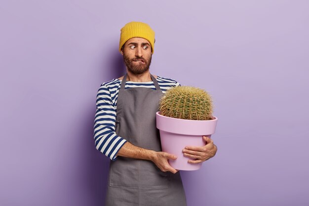 Verwirrter Mann hält Topf mit großem Kaktus mit scharfen Dornen, trägt Hut und Schürze und ist Pflanzenliebhaber