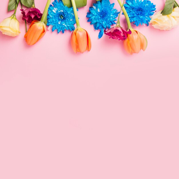 Verzierte Blumenoberseitenunterseite über dem rosa Hintergrund