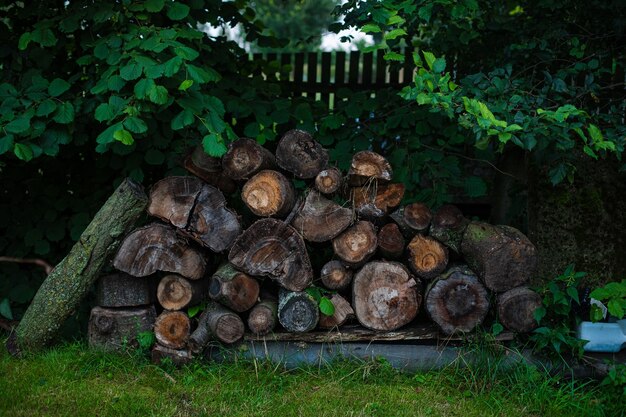 Viel Holz und Baumstämme im Hinterhof eines Hauses im Dorf