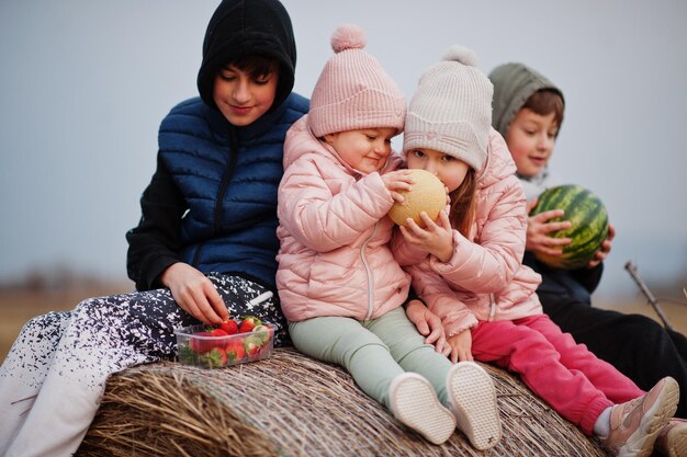 Vier Kinder mit Früchten in den Händen sitzen auf Heuhaufen auf dem Feld