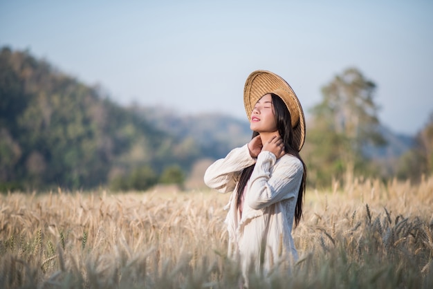 Vietnamesischer weiblicher landwirt weizenernte