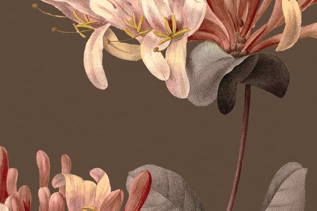 Vintage-Blumenhintergrund mit Geißblatt-Blumenillustration, neu gemischt aus gemeinfreien Kunstwerken