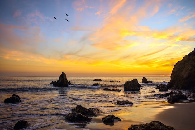 Vögel fliegen über das Ozeanufer während eines schönen Sonnenuntergangs