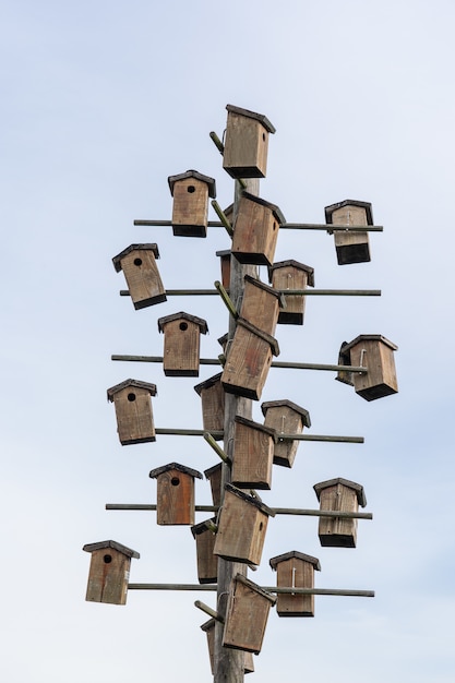 Kostenloses Foto vogelhäuschen an einem holzpfahl befestigt