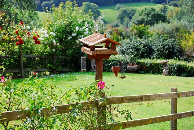 Vogelhaus in Cotswolds England