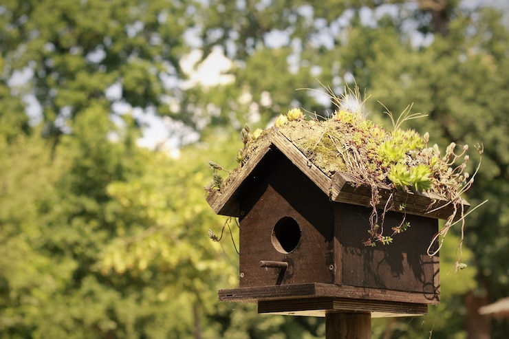 Kostenlose Foto vogelhaus