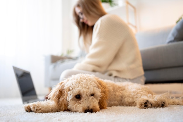 Voll erschossene verschwommene Frau, die zu Hause arbeitet