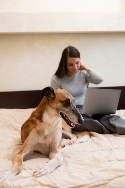 Vollbildfrau mit Laptop und Hund im Bett