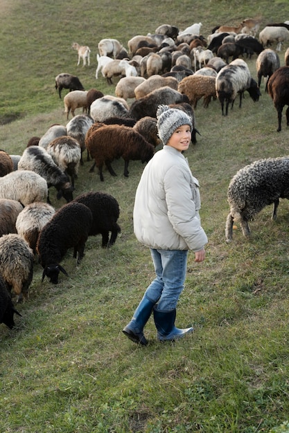 Voller Schuss Kind mit Schafen in der Natur