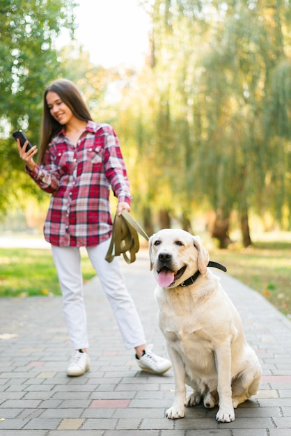 Voller Schuss nettes Labrador mit Frau