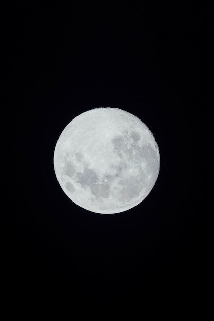 Kostenloses Foto vollmond auf dunklem hintergrund