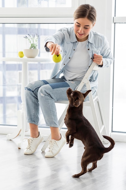 Kostenloses Foto vollschusshund, der apfel betrachtet