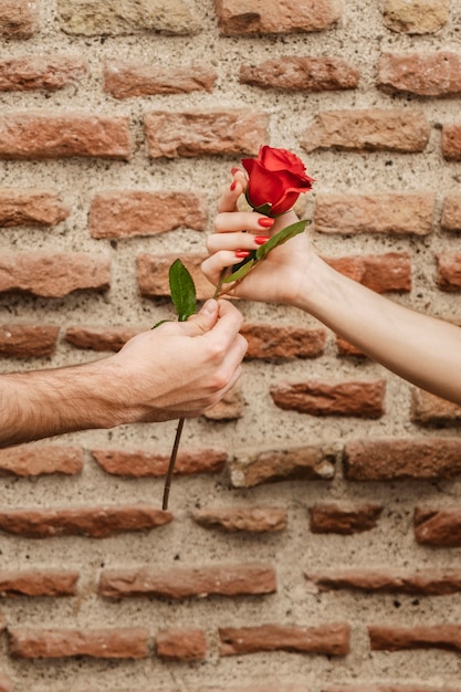 Kostenloses Foto vorderansicht der paarhände, die rose halten